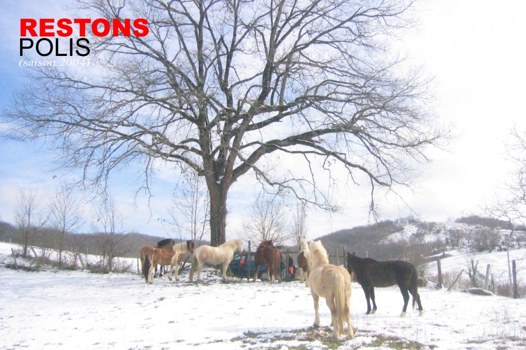 art contemporain contemporary art collectif d'artistes collective people alp le collectif alaplage affiche flyers cartes postales portraits portraits de groupe vie commune soyons politique restons groupés cheval Présence Panchounette