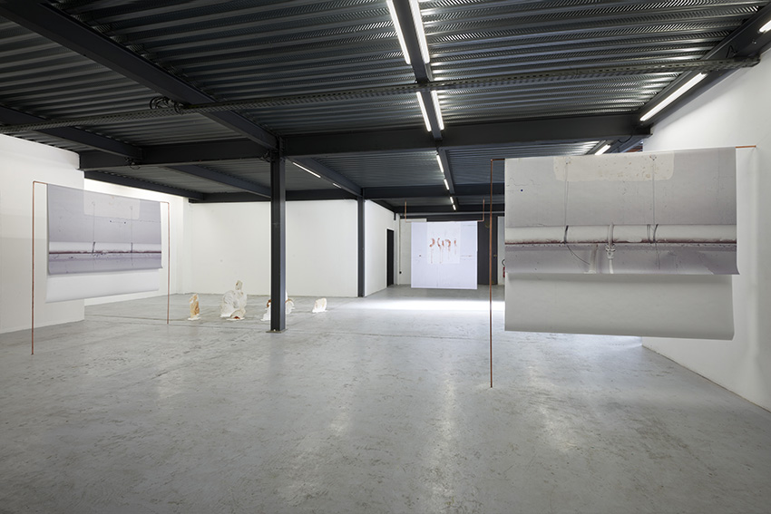 art contemporain Occitanie Toulouse contemporary art curator commissariat d’exposition commissaire Manuel Pomar Pauline Bastard, Mathilde Veyrunes Laure Vigna Suite Expérimenter - Produire - Exposer  programme de diffusion du Centre national des arts plastiques CNAP ADAGP Copie Privée Belvédère vidéo installation