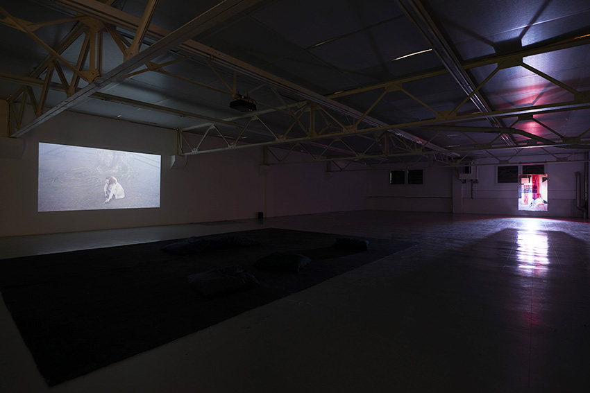 art contemporain Occitanie Toulouse contemporary art curator commissariat d’exposition commissaire Manuel Pomar Pauline Bastard, Mathilde Veyrunes Laure Vigna Suite Expérimenter - Produire - Exposer  programme de diffusion du Centre national des arts plastiques CNAP ADAGP Copie Privée Belvédère vidéo installation