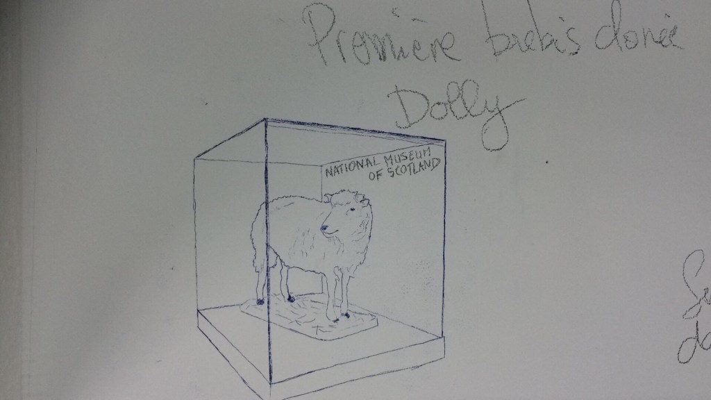 art contemporain Occitanie Toulouse contemporary art curator commissariat d’exposition commissaire Stéphane Arcas théâtre écriture film dramaturgie années 90 nineties Printemps de Septembre Manuel Pomar twin Towers mur de Berlin Marseille Bruxelles décor envers du décor Life comédiens grunge Cédric Teisseire décor séminal confettis radio radio FMR Phillipe Pitet émission onde intérieur Damien Hirst nuit bleu bleu